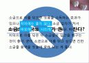 치아에 관한 잘못된 상식들! 13페이지