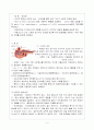 간, 담도, 췌장의 구조 4페이지