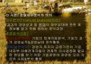호텔재무분석-비율분석(파라다이스 호텔) 3페이지