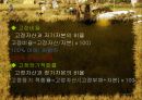 호텔재무분석-비율분석(파라다이스 호텔) 9페이지