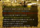 호텔재무분석-비율분석(파라다이스 호텔) 13페이지
