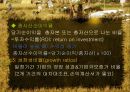 호텔재무분석-비율분석(파라다이스 호텔) 16페이지