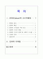 소비자행동 레포트(문화) 2페이지