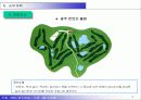 KBC골프대회(사업계획서,제안서) 17페이지