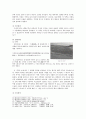 백제 사비시대 사찰 14페이지