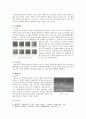 백제 사비시대 사찰 15페이지