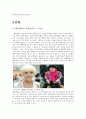 대학생의 복식(복장)매너 4페이지