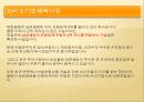 비교기업분석(삼성생명,대한생명) 13페이지