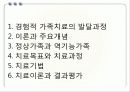 경험적 가족치료 ppt 3페이지