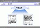 광주,전남 한마음 길거리 농구대회(사업계획서) 3페이지
