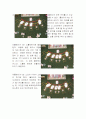 블랙잭[Blackjack]게임 18페이지