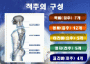 디스크의 올바른 이해 2페이지