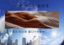 디스크의 올바른 이해 15페이지