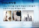 나노기술의 특징과 응용분야 국내외 현황과 문제점 및 연구동향 8페이지