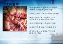 나노기술의 특징과 응용분야 국내외 현황과 문제점 및 연구동향 11페이지