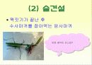 중학교 국어  수업자료 4페이지