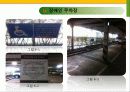 지하철역사 장애인 편의시설 실태조사 10페이지