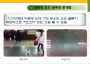지하철역사 장애인 편의시설 실태조사 17페이지