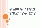 [맥주시장] 수입맥주 시장의 성장과 향후 전망 PPT자료 1페이지