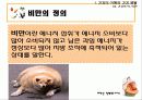 건강의 적 비만 예방 교육 8페이지