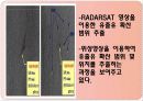 원격탐사 인공위성 해양분야 15페이지