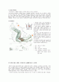 순환과 저항운동에 관한 트레이닝 방법 7페이지