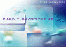 전단보강근(늑근)이 보의 거동에 미치는 영향 1페이지