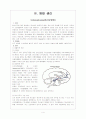 정신분열증(schizophrenia) 케이스(실습점수 A+자료) 4페이지