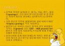 분광광도계 27페이지