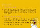 분광광도계 33페이지