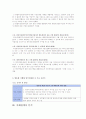 방송법 시행령에 대한 정책분석 4페이지
