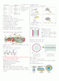 리피도 건강 1~7주차 타이핑입니다. 6페이지
