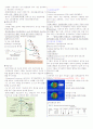 리피도 건강 1~7주차 타이핑입니다. 13페이지