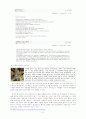 정치와 이미지 9페이지