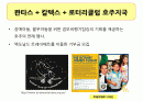 맥도날드 공익캠페인 2페이지