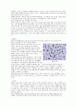 폐결핵 case study 2페이지