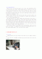 심폐소생술의 모든것 8페이지