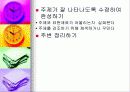 초등학교 미술 상상표현 단원 지도방법과 감상자료 51페이지