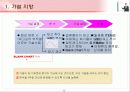 IT 컨설턴트를 위한 핵심 기법정리 (136페이지)  9페이지