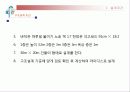 마이다스 구조설계 4페이지
