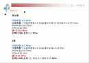마이다스 구조설계 5페이지