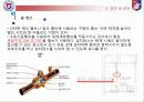 아파트 소화설비 배관(밸브) 5페이지