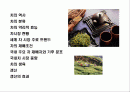 차(茶)의 기능,역사,종류에 대한이해 & 차(茶)시장 트렌드 2페이지