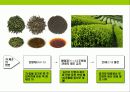 차(茶)의 기능,역사,종류에 대한이해 & 차(茶)시장 트렌드 5페이지
