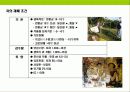 차(茶)의 기능,역사,종류에 대한이해 & 차(茶)시장 트렌드 18페이지