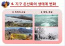지구온난화와 생태계와의 관계 12페이지
