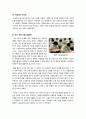 [고교내신절대평가]고교 내신 절대평가 전환, 무엇이 문제인가? - 절대/상대평가의 장단점 분석 및 절대평가 전환에 대한 나의 생각 정리 4페이지
