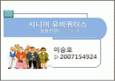 시니어(실버) 산업- 시니어 유비쿼터스 1페이지