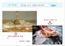 방사선에 관한 PPT 15페이지