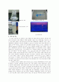 생화학 gene clonig에 대한 전반적인 결과 보고서 4페이지